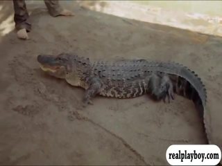 Nóng badass cô gái visited cranky crocs và thưởng thức nó